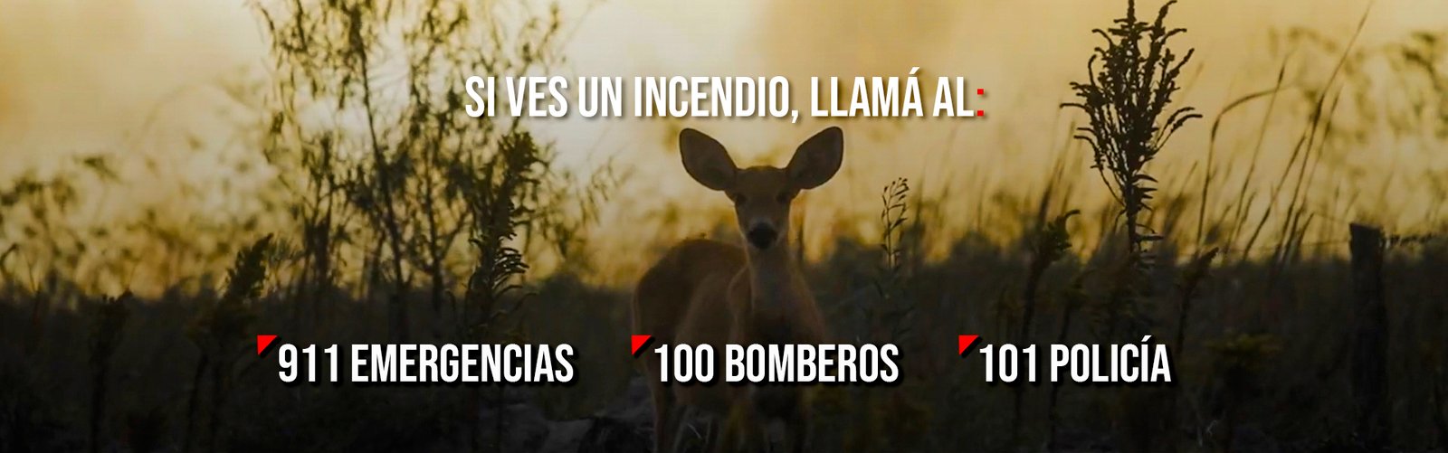 Cabecera principal - llamá al - 3